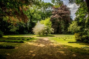 Beautiful garden with lush greenery and blooming trees under a sunny sky.